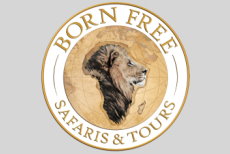 Born Free Safaris