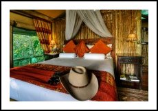 African Luxury Accommodations