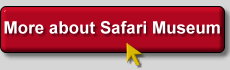 More information about Safari Museum More information about Safari Museum