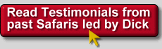 Testimonials from past safaris led by Dick Houston